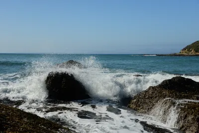 DSC_2664 (Large).JPG